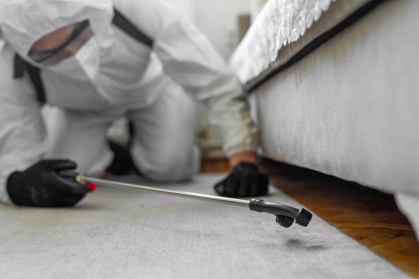Professional Termite Control technician working in Dysart, IA