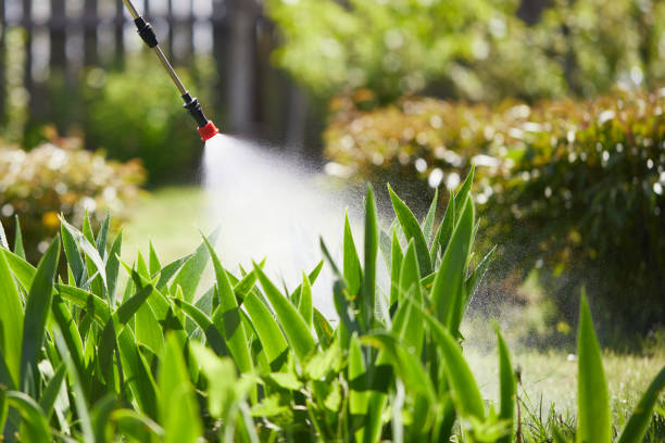 24/7 Emergency Termite Control experts in Dysart, IA